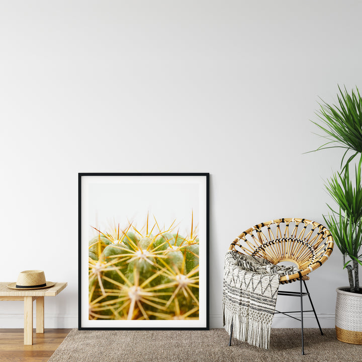 Grüner Kaktus IV | Fine Art Poster Print