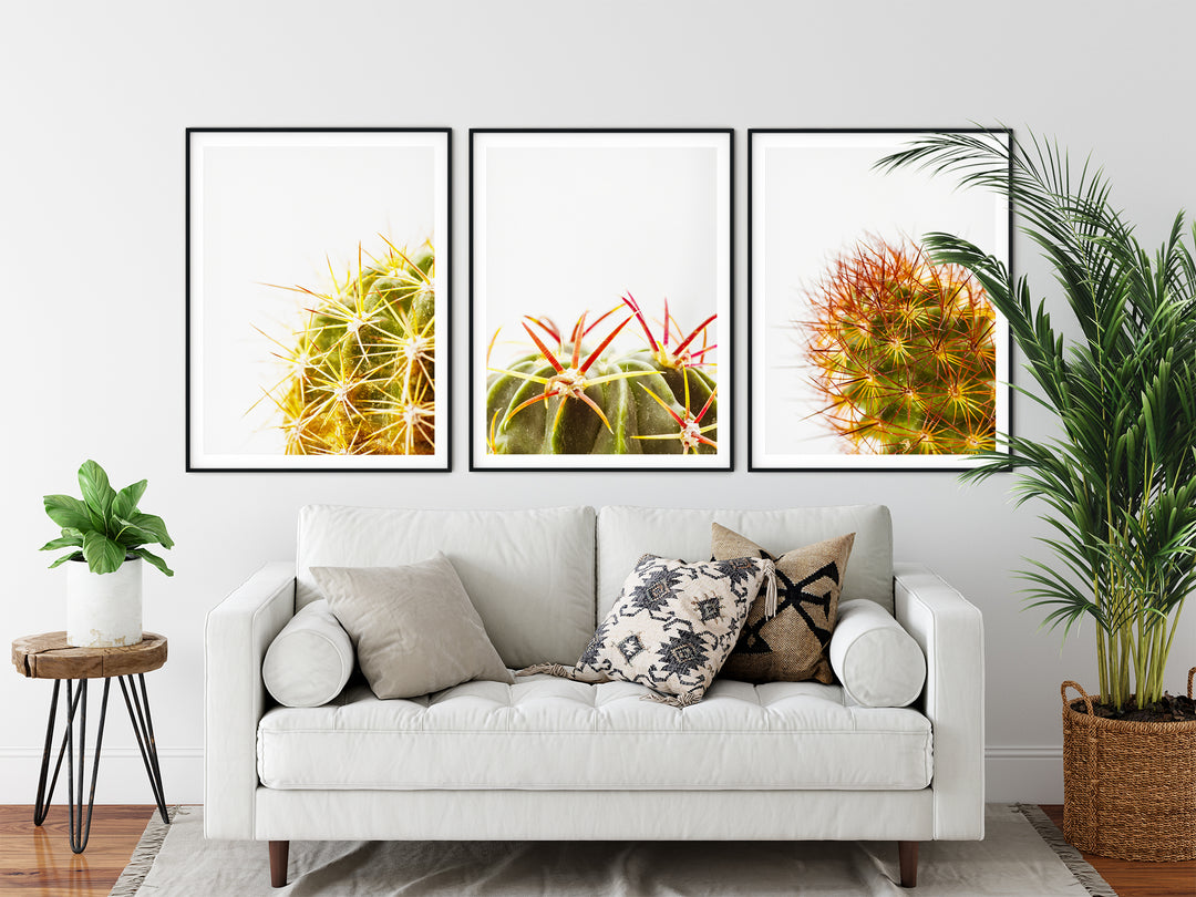Grüner Kaktus Bilderwand I | Fine Art Poster Print Set