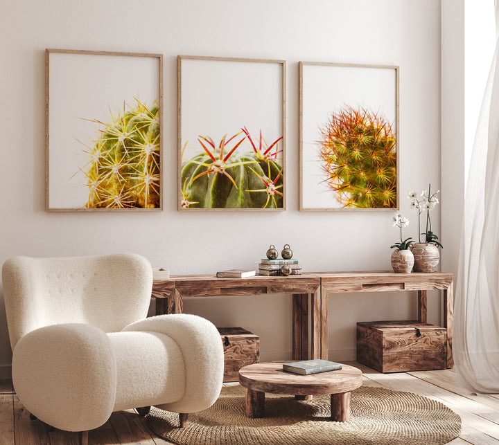 Grüner Kaktus Bilderwand I | Fine Art Print Set