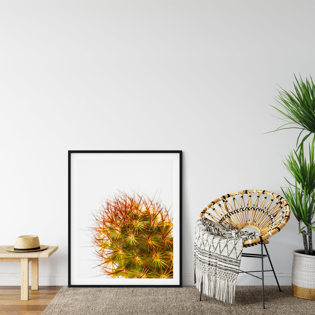 Grüner Kaktus II | Fine Art Poster Print
