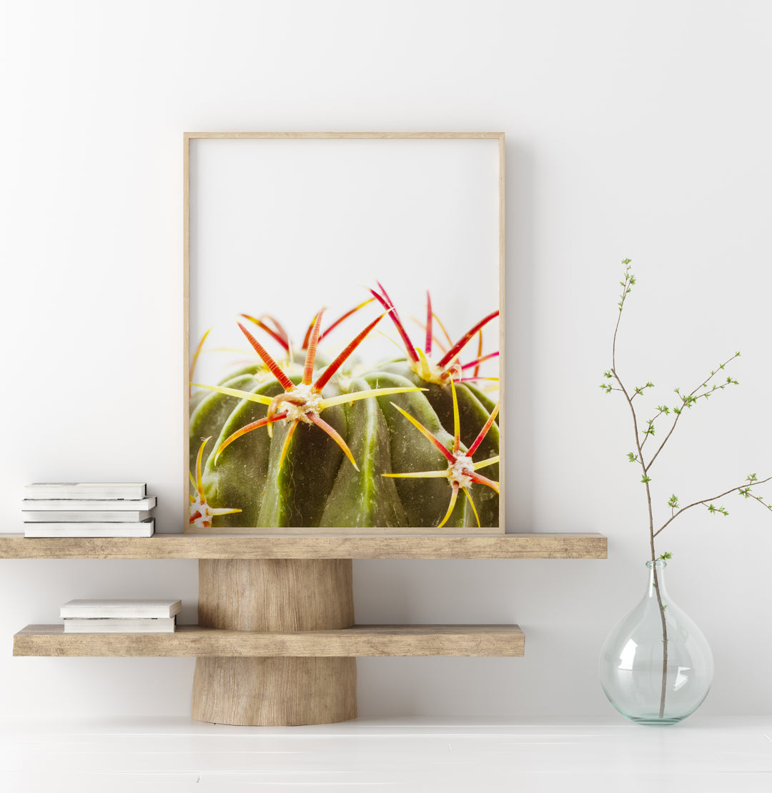Grüner Kaktus I | Fine Art Print