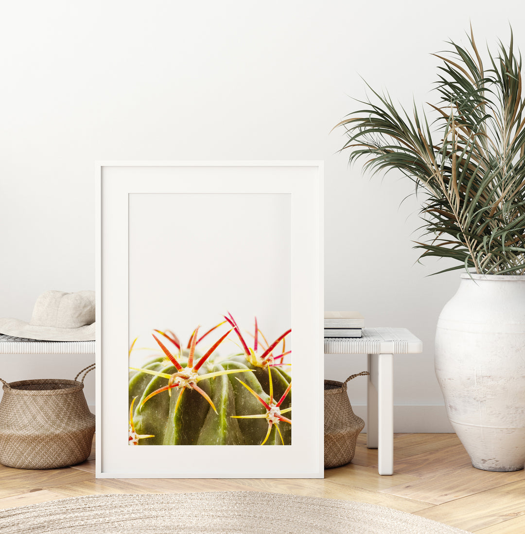 Green Cactus I | Fine Art Photography Print