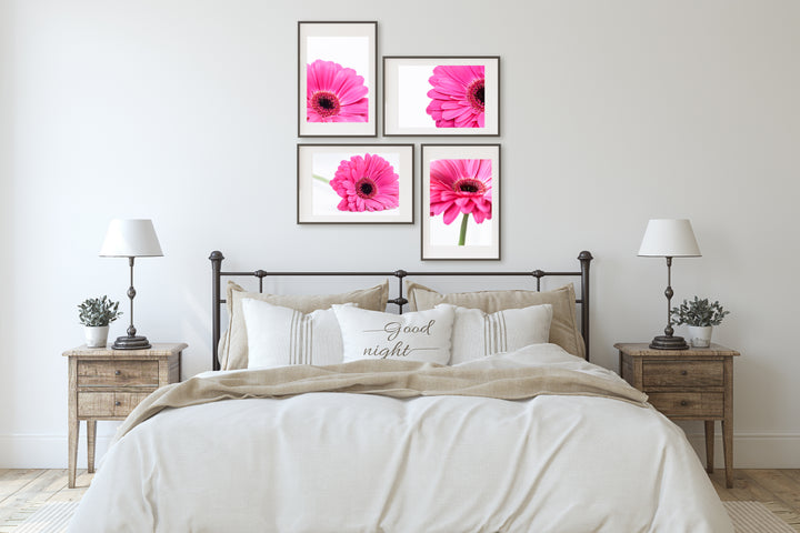 Pink Daisies Gallery Wall II | Fine Art Photography Print Set