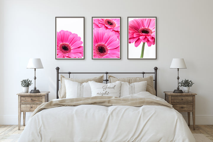 Pinke Gänseblümchen Bilderwand I | Fine Art Poster Print Set
