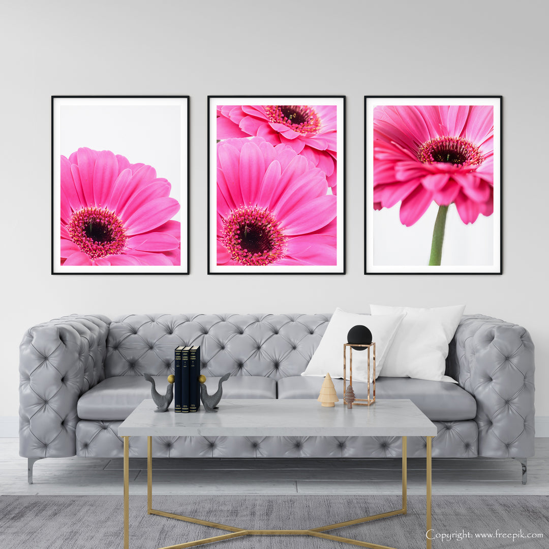 Pinke Gänseblümchen Bilderwand I | Fine Art Print Set
