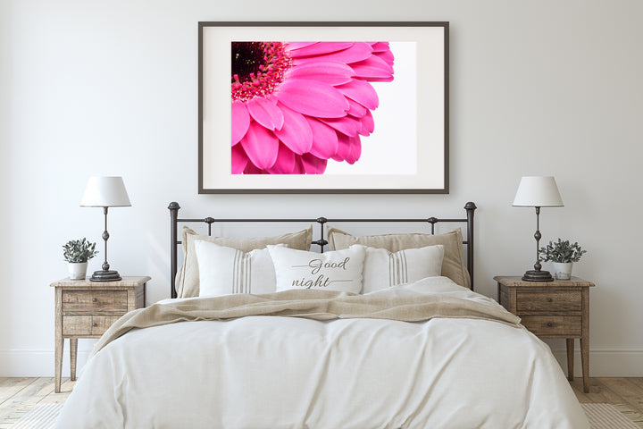 Pink Daisy Flower III | Fine Art Photography Print
