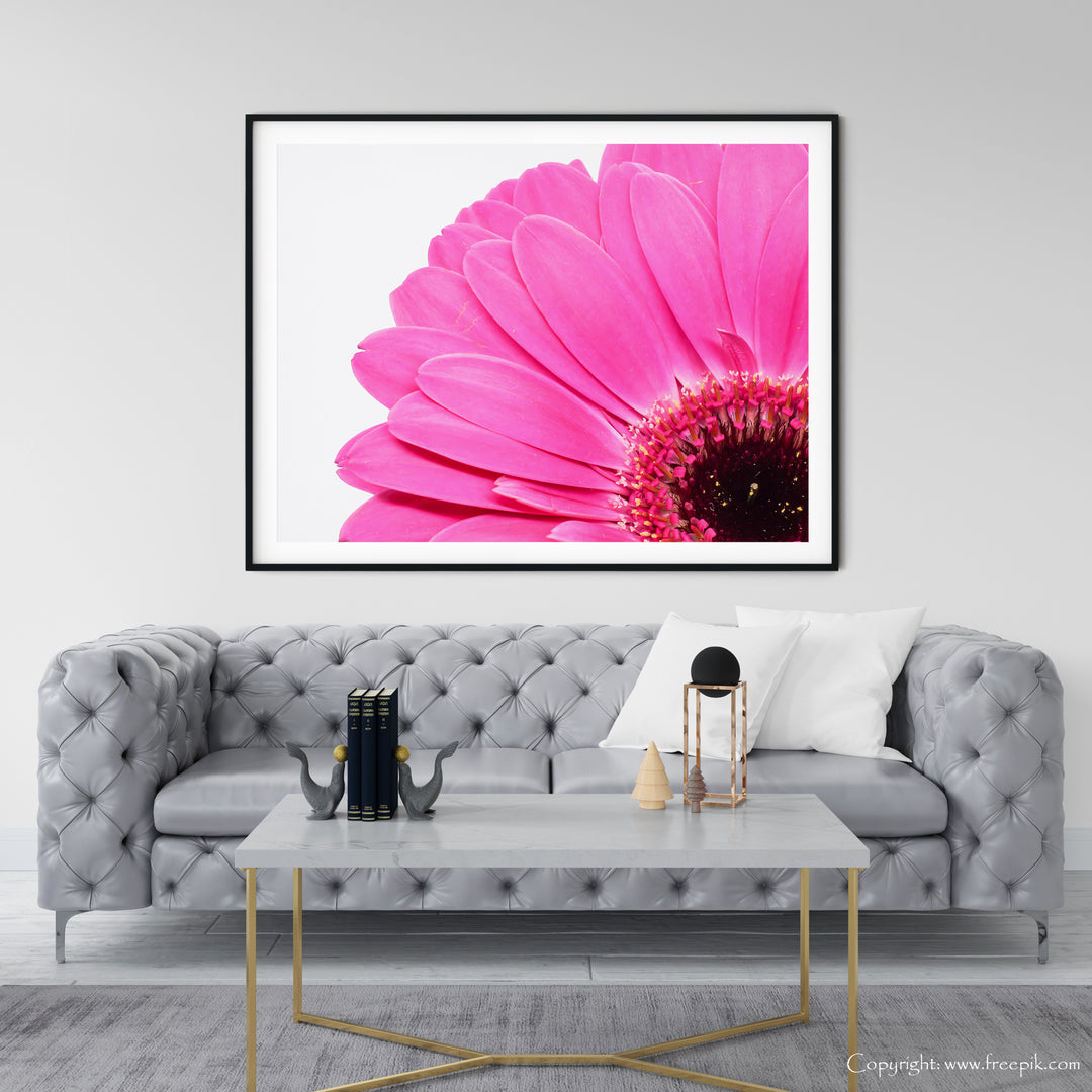 Pink Daisy Flower IV | Fine Art Photography Print