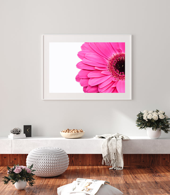 Pink Daisy Flower V | Fine Art Photography Print