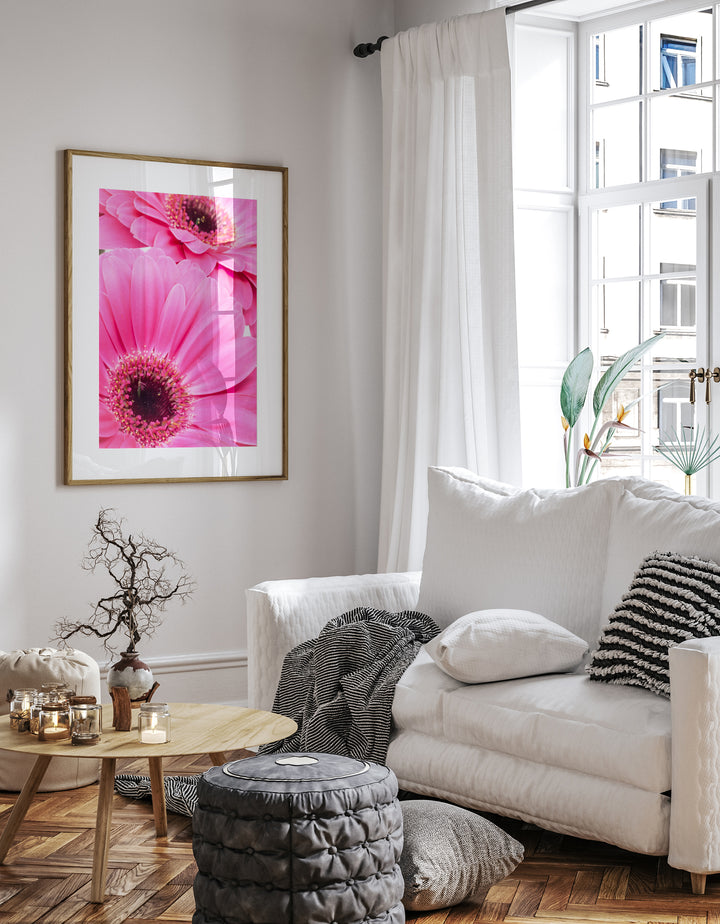 Pink Daisy Flower VII | Fine Art Photography Print