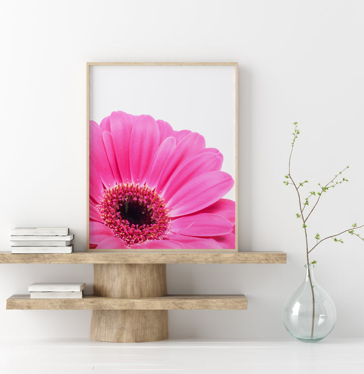Pink Daisy Flower IX | Fine Art Photography Print