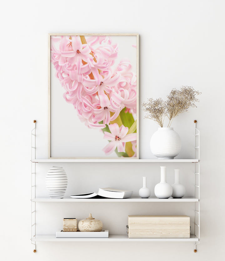 Pink Hyacinth | Fine Art Photography Print