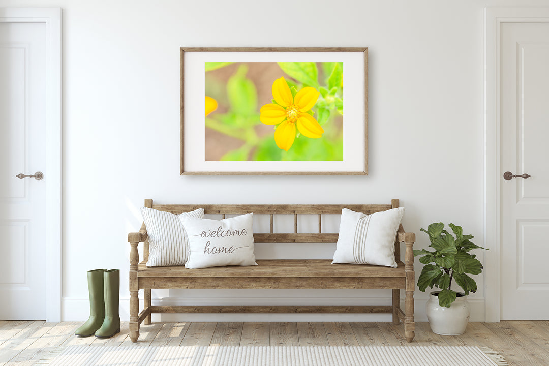 Yellow Wildflower | Fine Art Photography Print