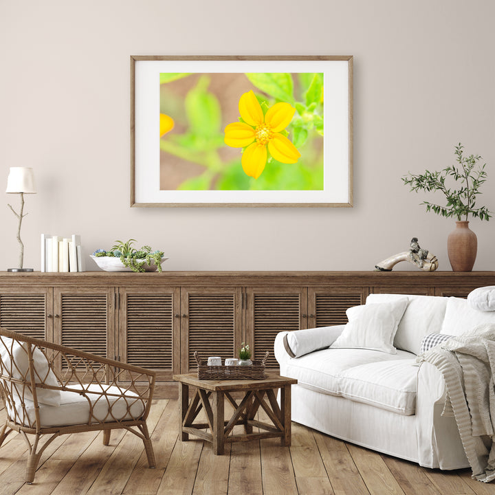 Gelbe Wildblume | Fine Art Poster Print