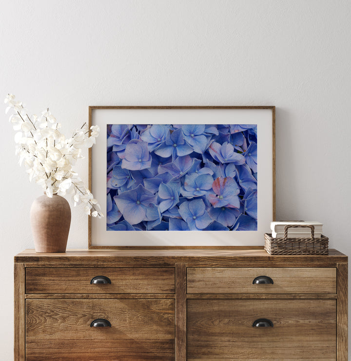 Blue Hydrangea | Fine Art Photography Print