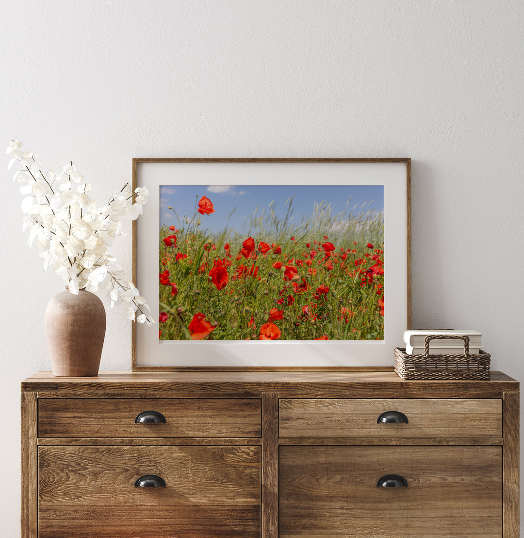Red Poppy Field II | Fine Art Photography Print