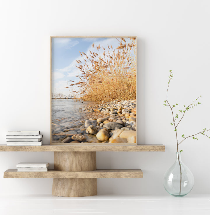 Calm Lake Shoreline | Fine Art Photography Print