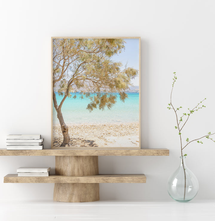 Greek Pine Tree | Fine Art Photography Print
