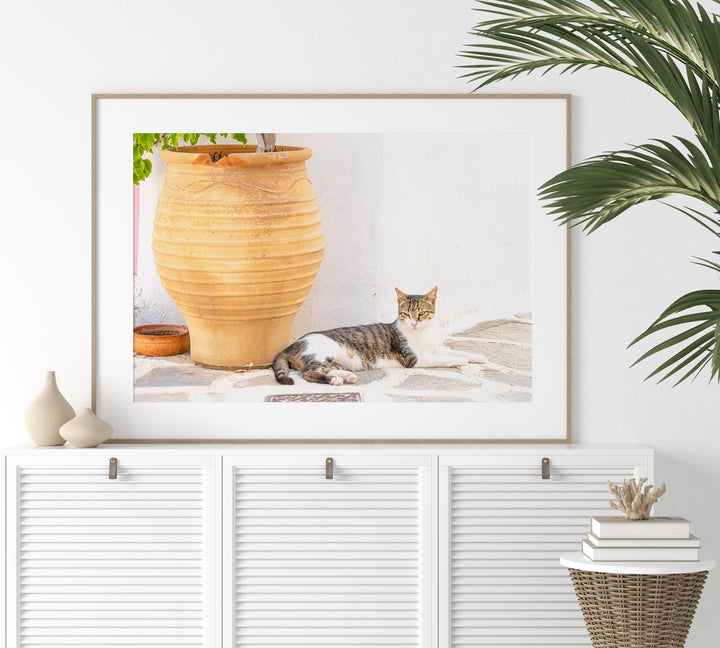 Griechische Katze II | Fine Art Poster Print