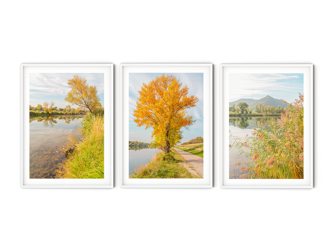 Peaceful Fall Landscape Gallery Wall | Fine Art Photography Print Set