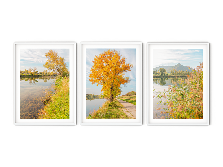 Peaceful Fall Landscape Gallery Wall | Fine Art Photography Print Set