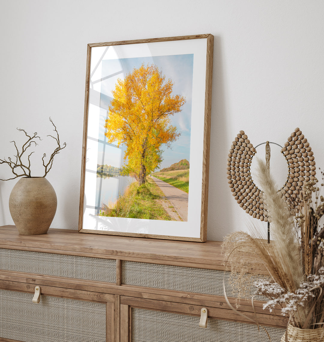 Yellow Fall Foliage | Fine Art Photography Print