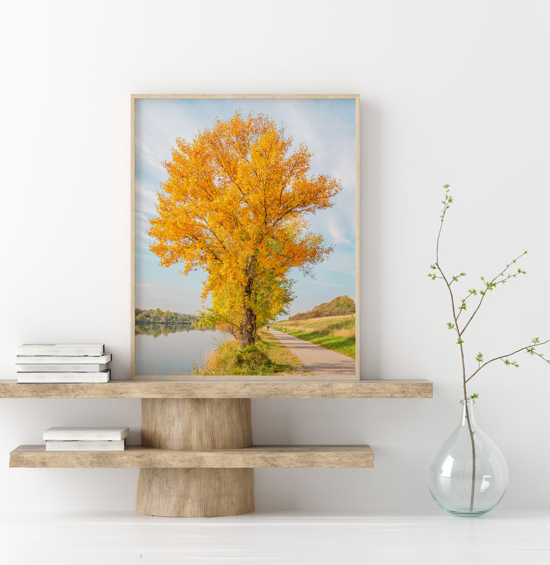 Gelbes Herbstlaub | Fine Art Print