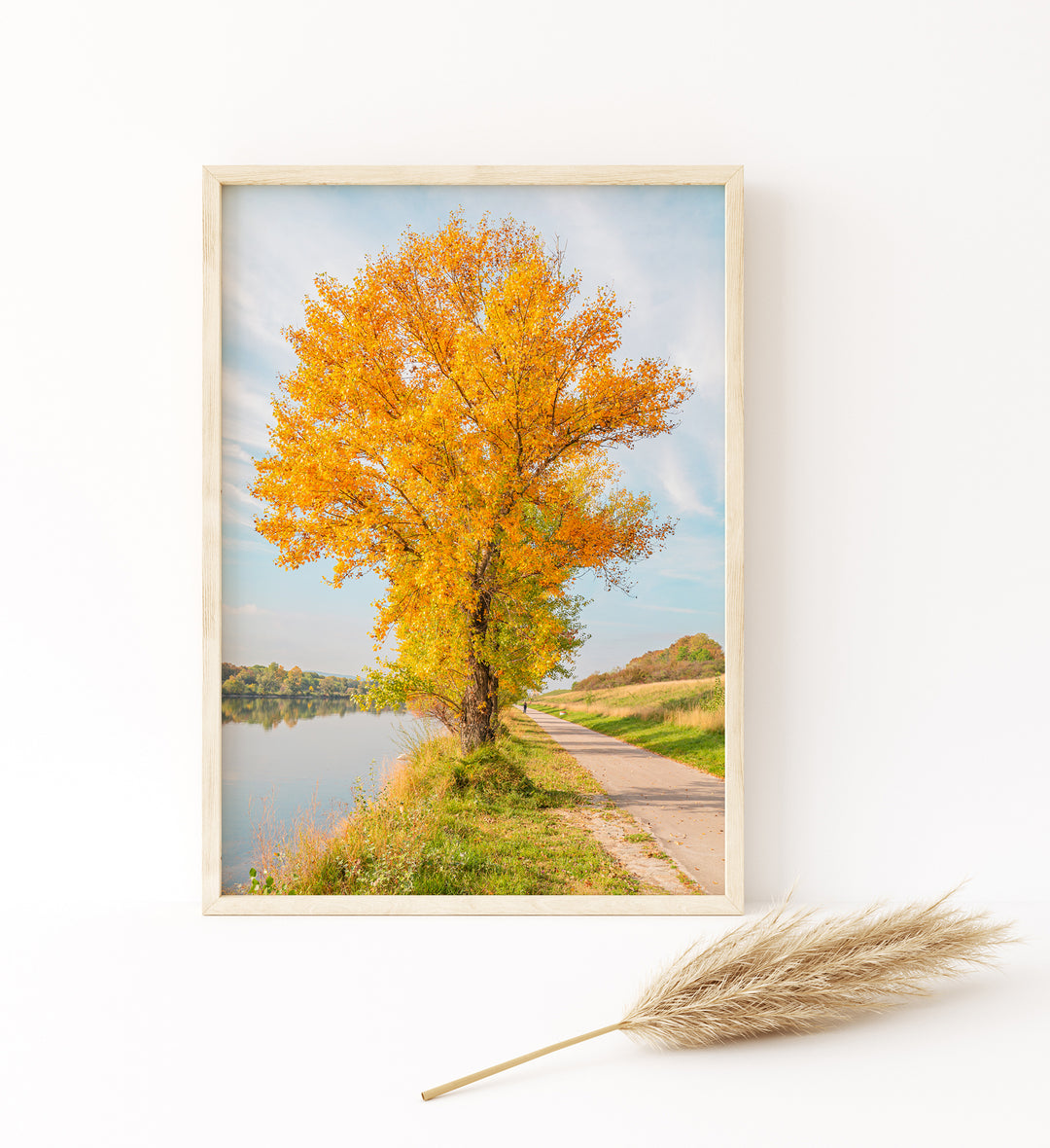 Gelbes Herbstlaub | Fine Art Print