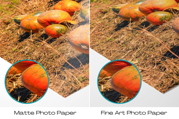 Pumpkin Field | Fine Art Photography Print
