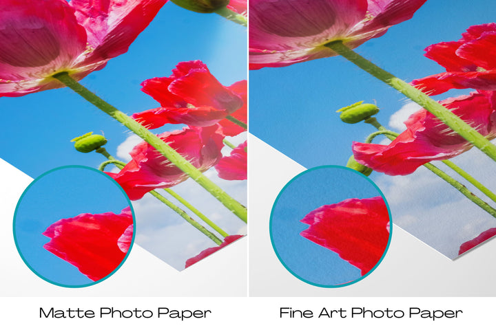 Red Poppy Flowers I | Fine Art Photography Print