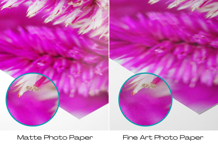 Abstract Pink Flower | Fine Art Photography Print