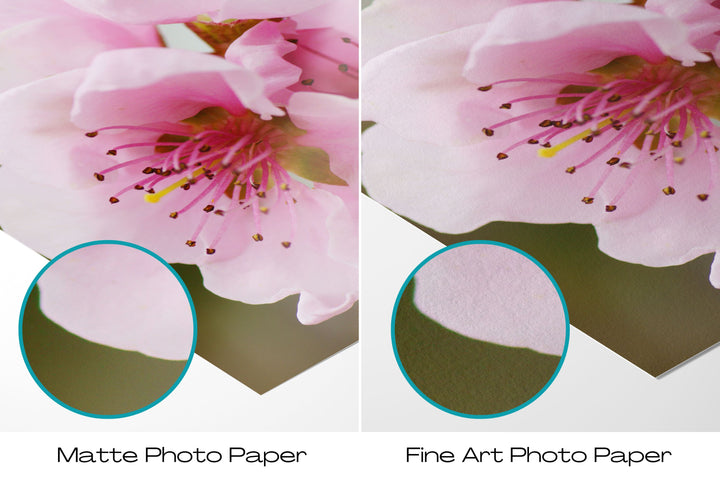 Rosa Frühlingsblumen Bilderwand | Fine Art Print Set