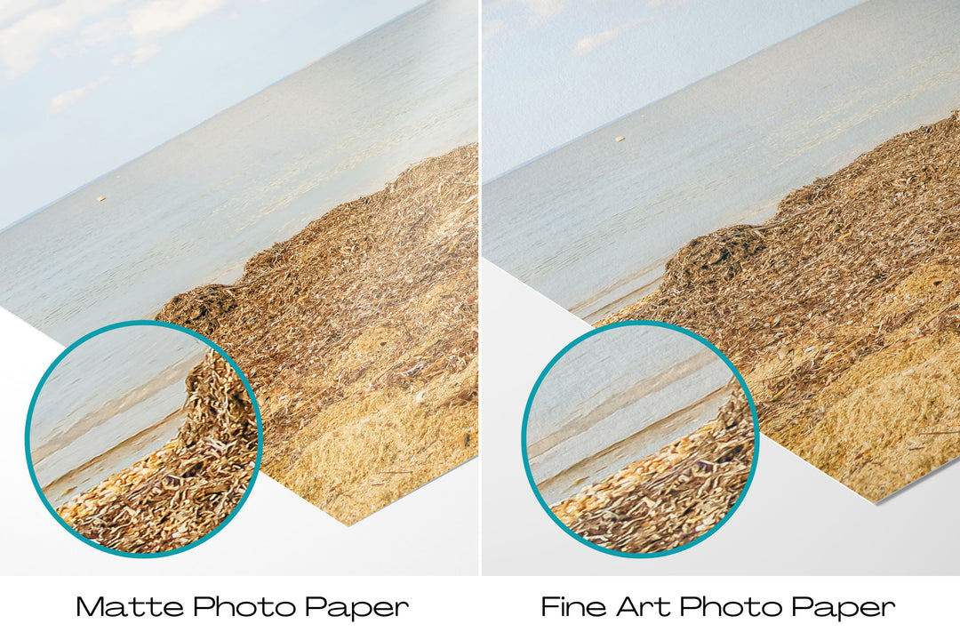 Beach Driftwood I | Fine Art Photography Print