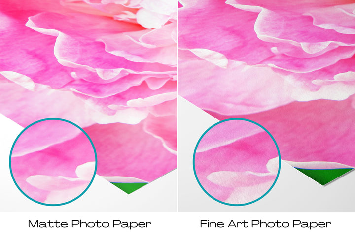 Pink Peony II | Fine Art Photography Print