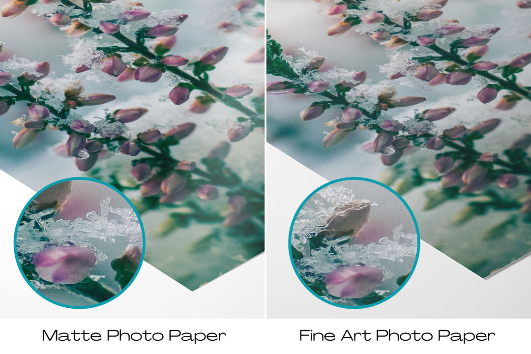 Winter Flowers III | Fine Art Photography Print