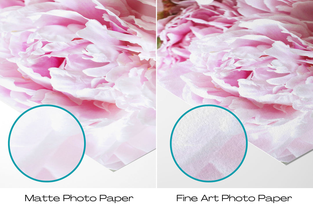 Pink Peonies V | Fine Art Photography Print