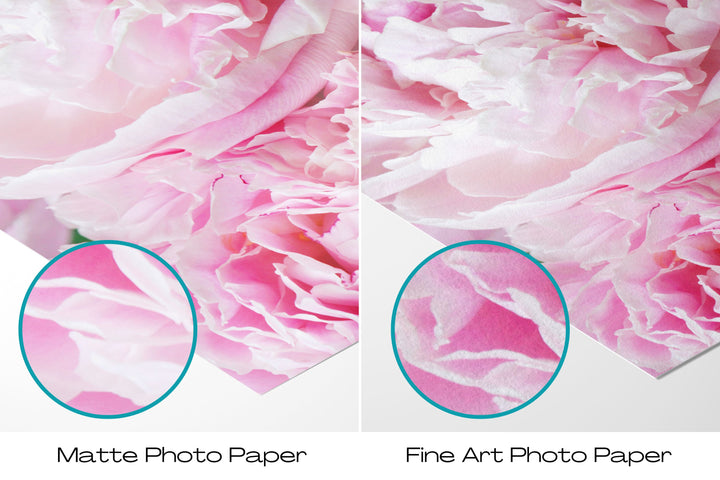 Pink Peonies VI | Fine Art Photography Print