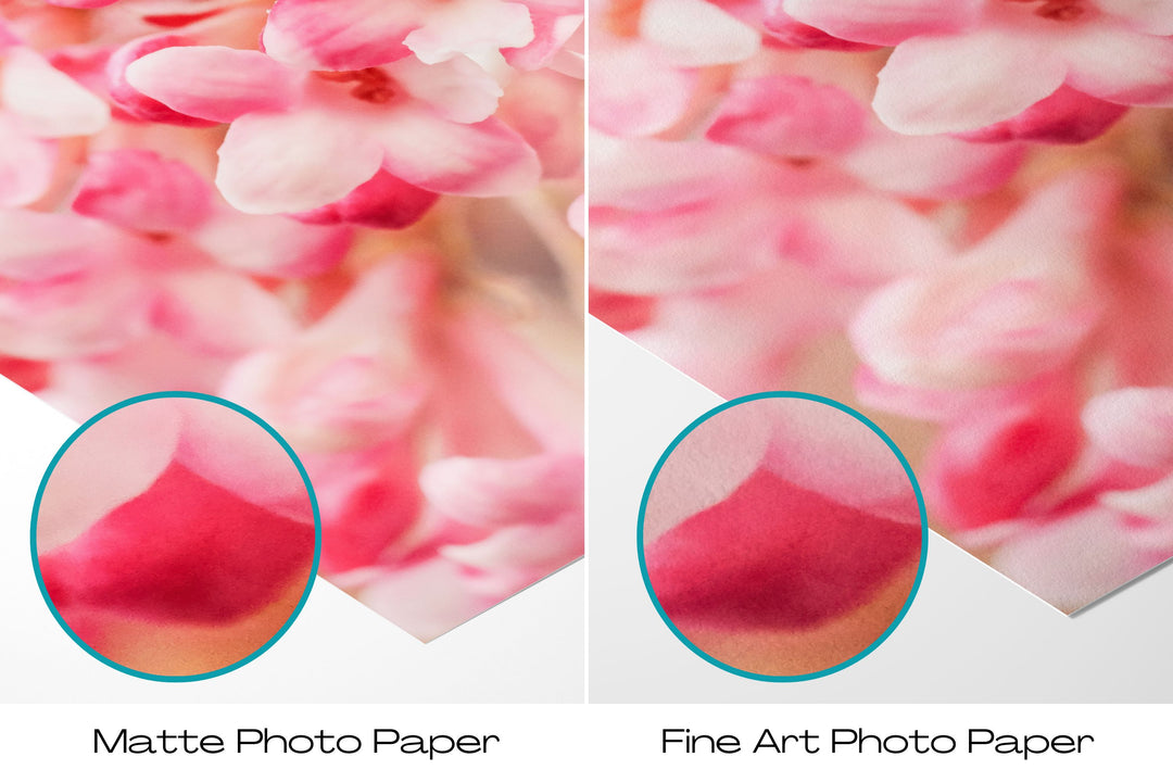 Snowball Blossoms | Fine Art Photography Print