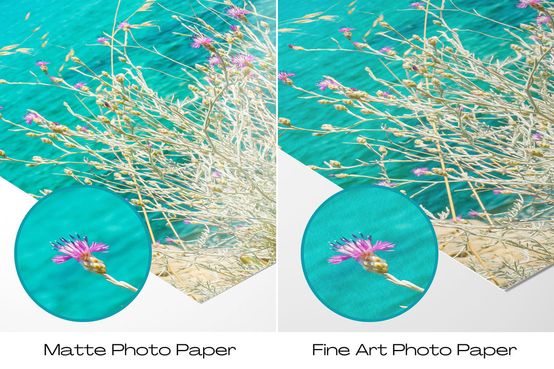 Coastal Wildflowers II | Fine Art Photography Print