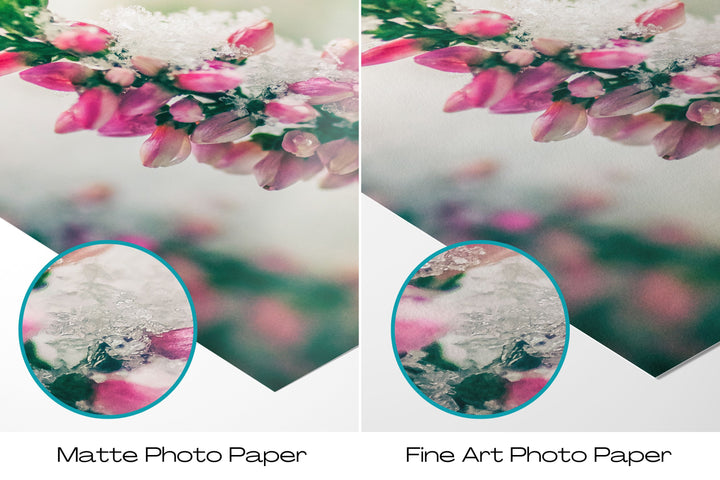 Winter Flowers IV | Fine Art Photography Print